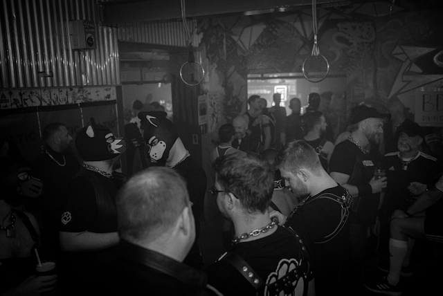 Masked crowd gathered beneath suspension rings hanging from the rafters